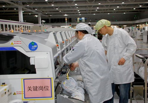 芯片榮獲最高級(jí)別認(rèn)證 兩江新區(qū)以硬科技為引擎，驅(qū)動(dòng)技術(shù)服務(wù)創(chuàng)新升級(jí)